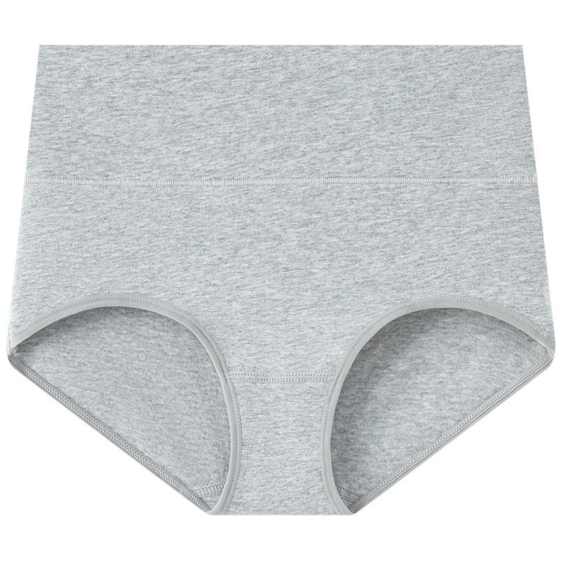 Women's Plus Size Cotton High Waisted Briefs