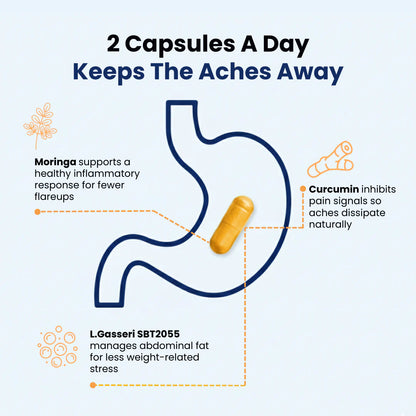 Provitalize | Best Natural Menopause Probiotic