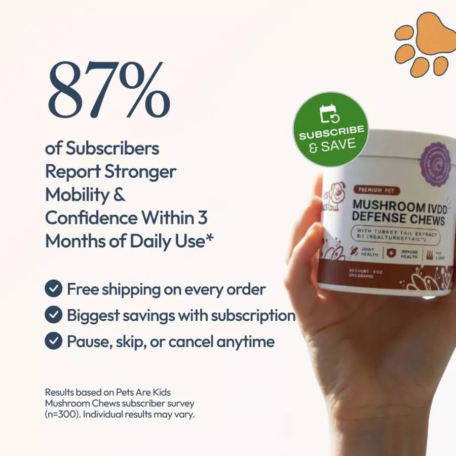 Mushroom IVDD Defense Chews