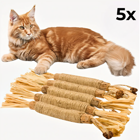 Elystria Natural Silvervine Dental Sticks