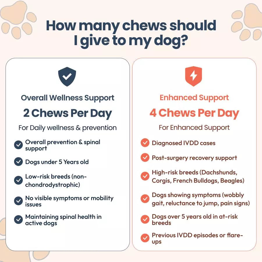 Mushroom IVDD Defense Chews