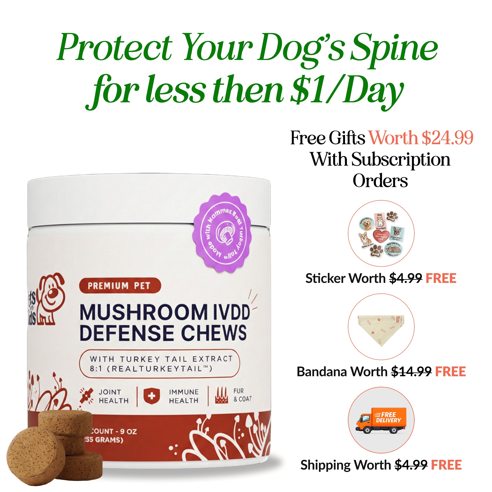 Mushroom IVDD Defense Chews – Arden®