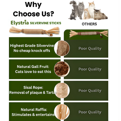 Elystria Natural Silvervine Dental Sticks