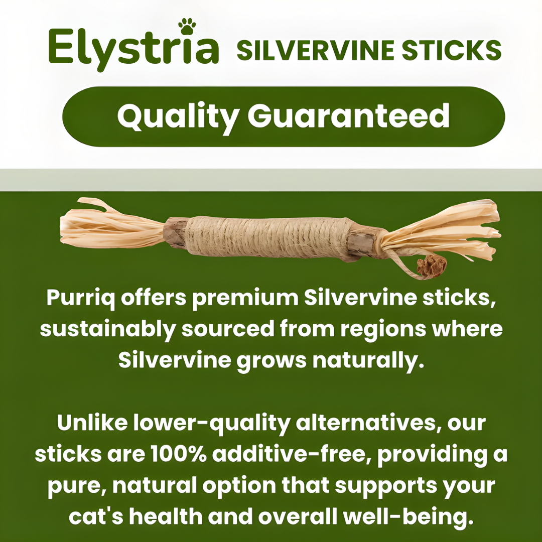 Elystria Natural Silvervine Dental Sticks