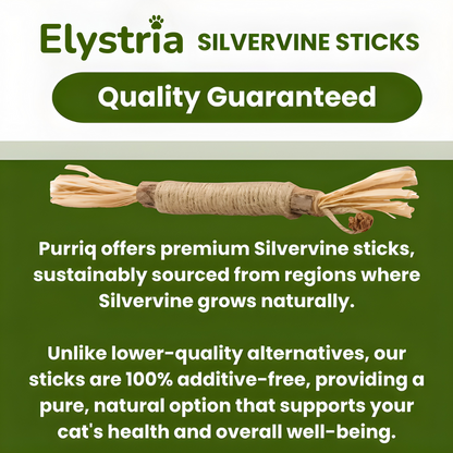 Elystria Natural Silvervine Dental Sticks
