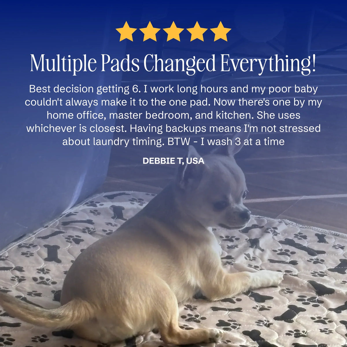 PuppyPad - The Last Pee Pad You'll Get