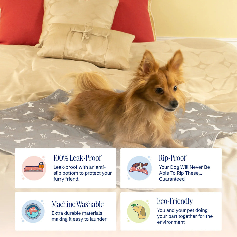 PuppyPad - The Last Pee Pad You'll Get