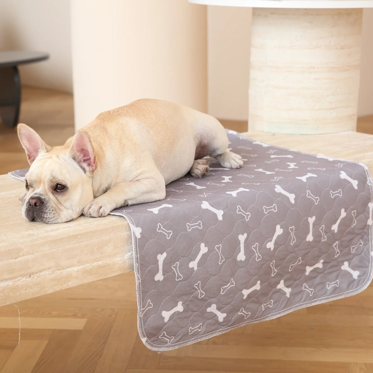 PuppyPad - The Last Pee Pad You'll Get