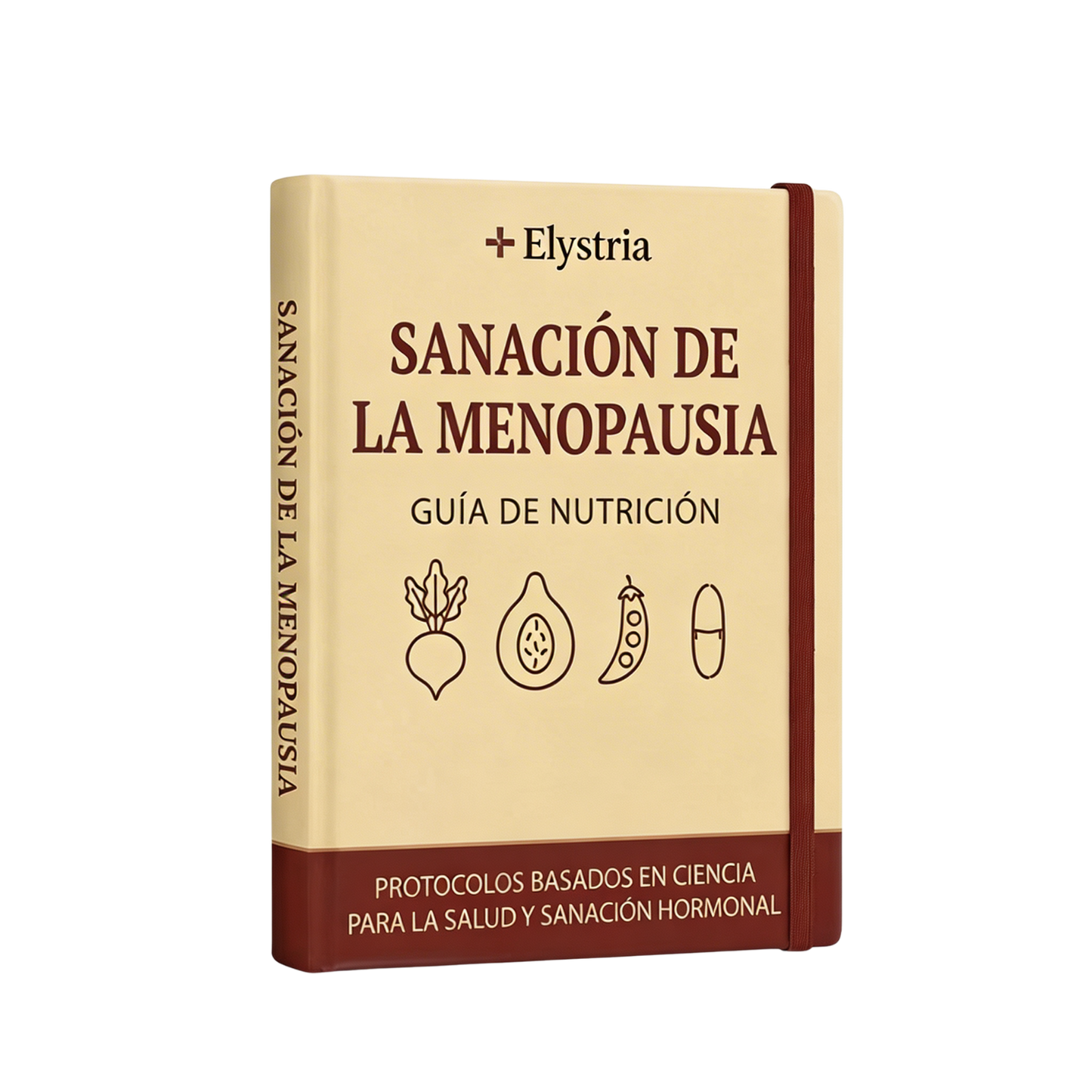 Guía: Sanación De La Menopausia
