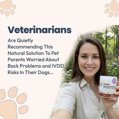 Mushroom IVDD Defense Chews