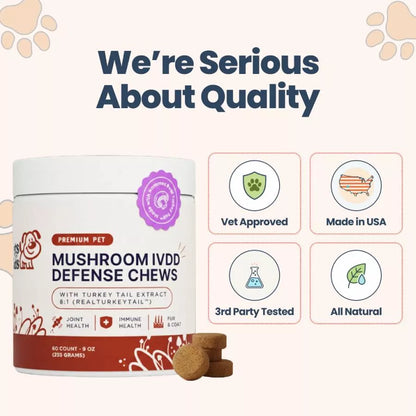 Mushroom IVDD Defense Chews