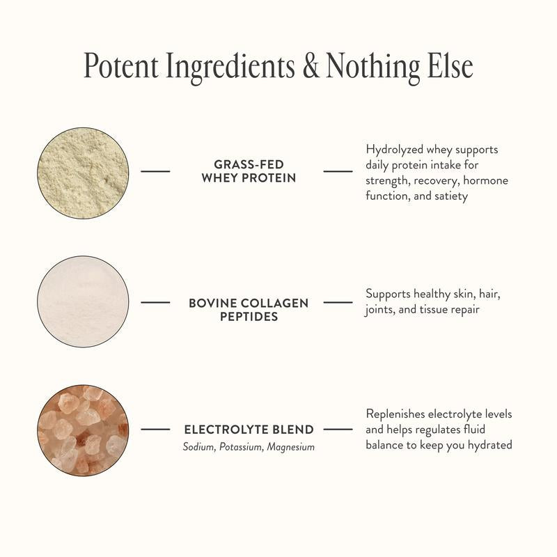 Elystria Clear Protein+