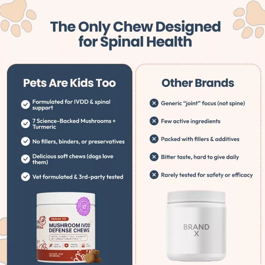 Mushroom IVDD Defense Chews