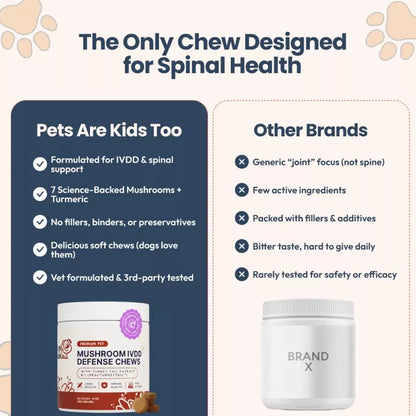 Mushroom IVDD Defense Chews
