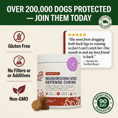 Mushroom IVDD Defense Chews