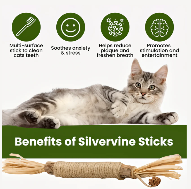 Elystria Natural Silvervine Dental Sticks