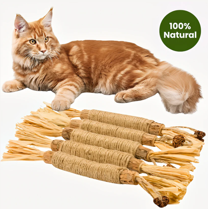 Elystria Natural Silvervine Dental Sticks