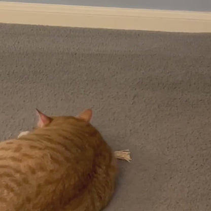 Elystria Natural Silvervine Dental Sticks